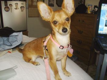 arretta profile photo