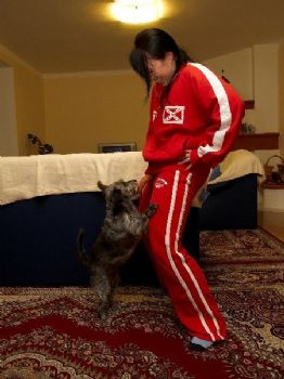 kom050 profile photo