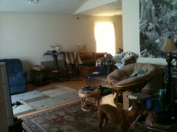 fornesss profile photo