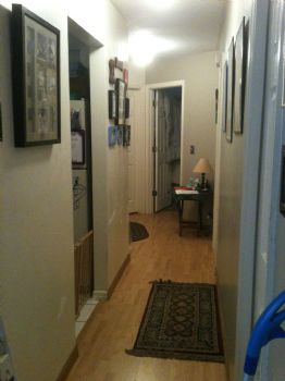 fornesss profile photo