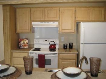 Hippie Chick profile photo