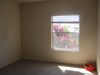 gissea profile photo