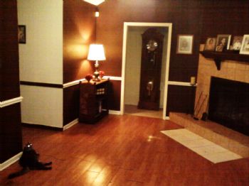 Mr. New York profile photo