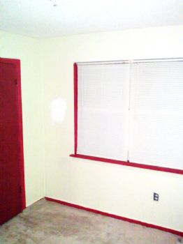 Mr. New York profile photo