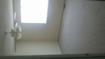 flagball07 profile photo