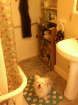 Cassie0416 profile photo