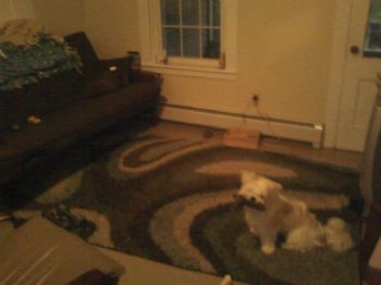 Cassie0416 profile photo