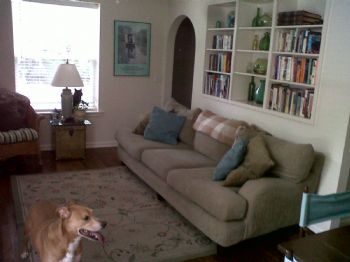 Aliguator5 profile photo