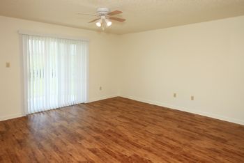 destinii profile photo