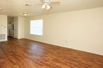 destinii profile photo