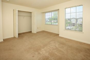 destinii profile photo