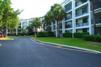 mimicali profile photo