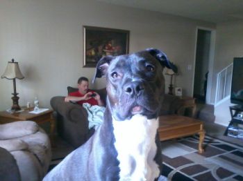 laurie_jrs profile photo