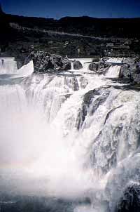 idahohorses profile photo