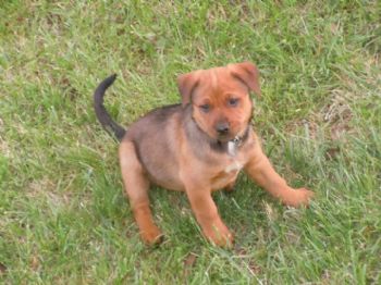 CodyRae profile photo