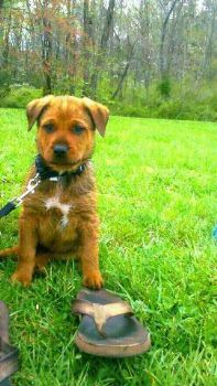 CodyRae profile photo