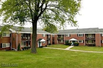 rachelSB profile photo