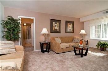 rachelSB profile photo