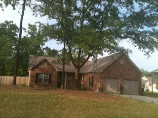 SandraLang profile photo