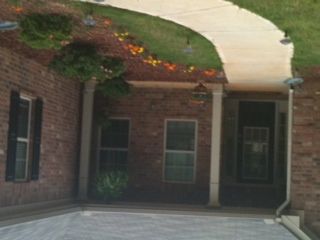 SandraLang profile photo