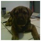 kaliluvrs profile photo