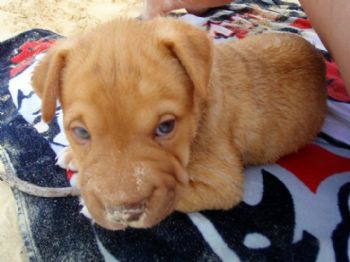 hwaltbillig profile photo