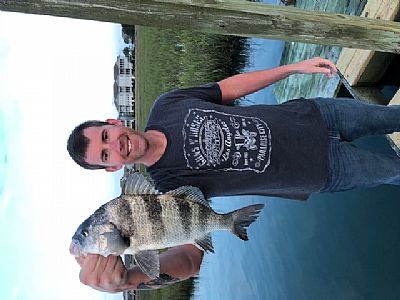 davisjg2 profile photo