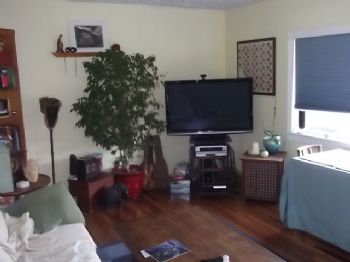 zenonthego profile photo