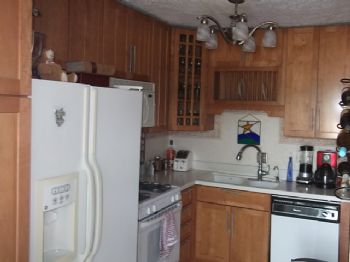 zenonthego profile photo