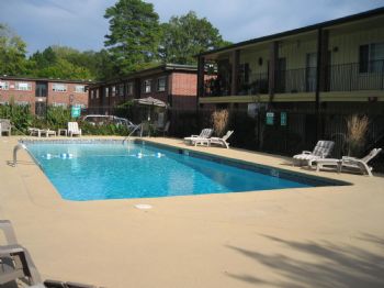 zenonthego profile photo