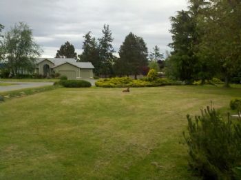 gkilcup profile photo