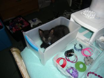 kbella88 profile photo