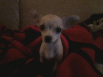 kbella88 profile photo