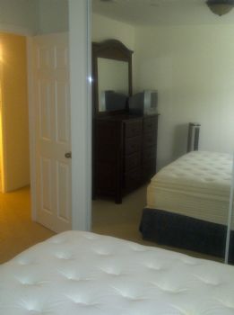 SD ROB profile photo