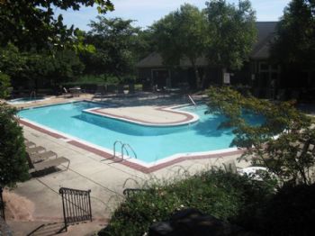 shannanm profile photo