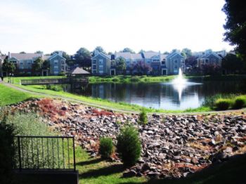 shannanm profile photo