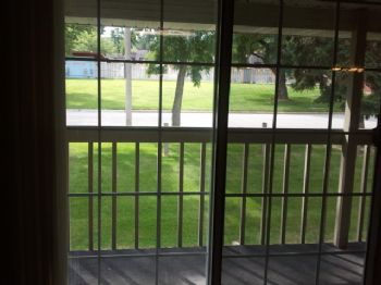 brose2 profile photo