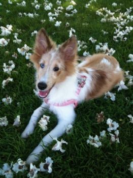 JuneMoon profile photo