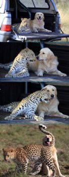 TAYLORMORGND profile photo