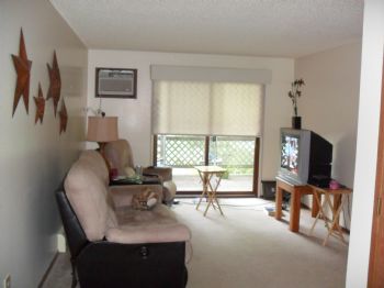 msmith16 profile photo