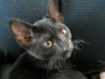 dm4nier profile photo