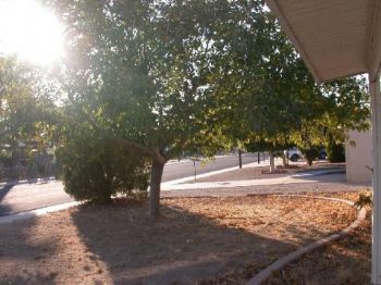 ndrews profile photo