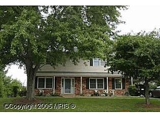 cowtippin profile photo