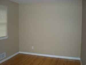 cowtippin profile photo