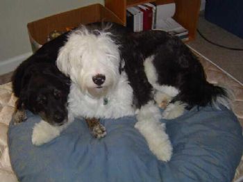 SLowery1012 profile photo