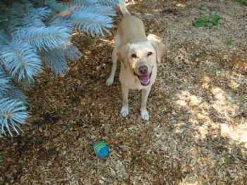 5.22.srz profile photo