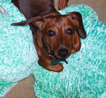 carolina93 profile photo