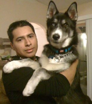 adrianh1 profile photo