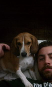 bhuiner profile photo