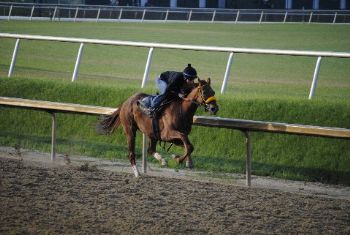 wvalls profile photo